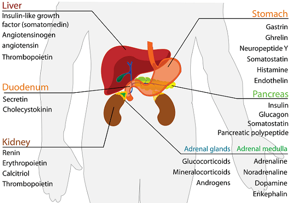 hirsutism causes Ovarian Adrenal tumor