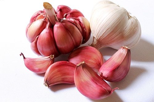 Garlic for Acne Scars