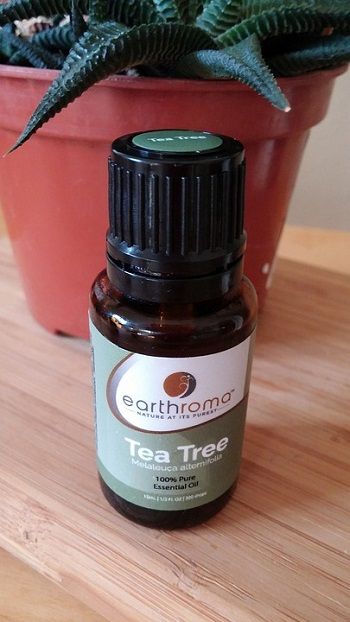 Tea Tree Oil Cystic Acne